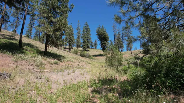 $152,000 | 5550 Scotts Valley Road, Deer Park, WA 99006