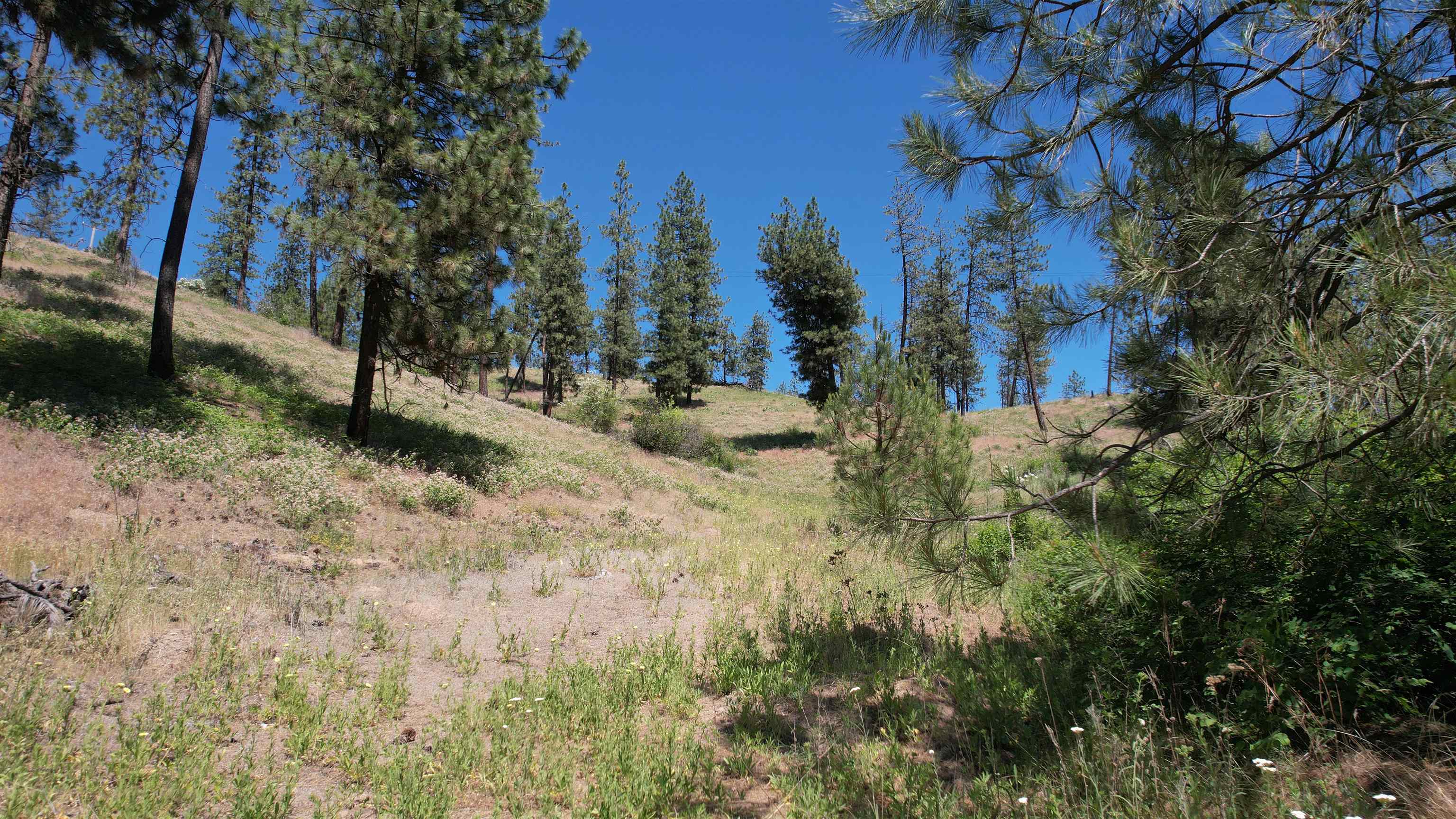 5550 Scotts Valley Road Deer Park, WA 99006 - Photo 18 of 34