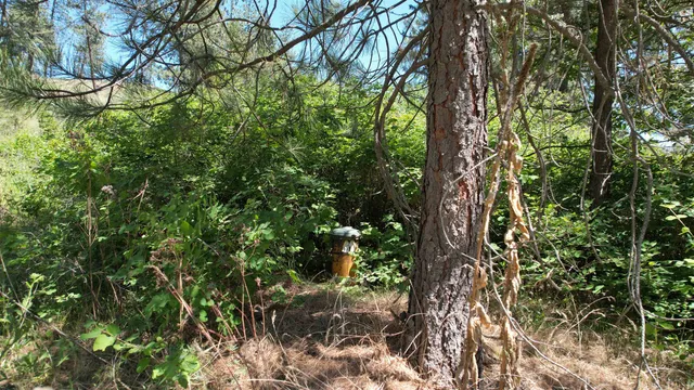 $152,000 | 5550 Scotts Valley Road, Deer Park, WA 99006