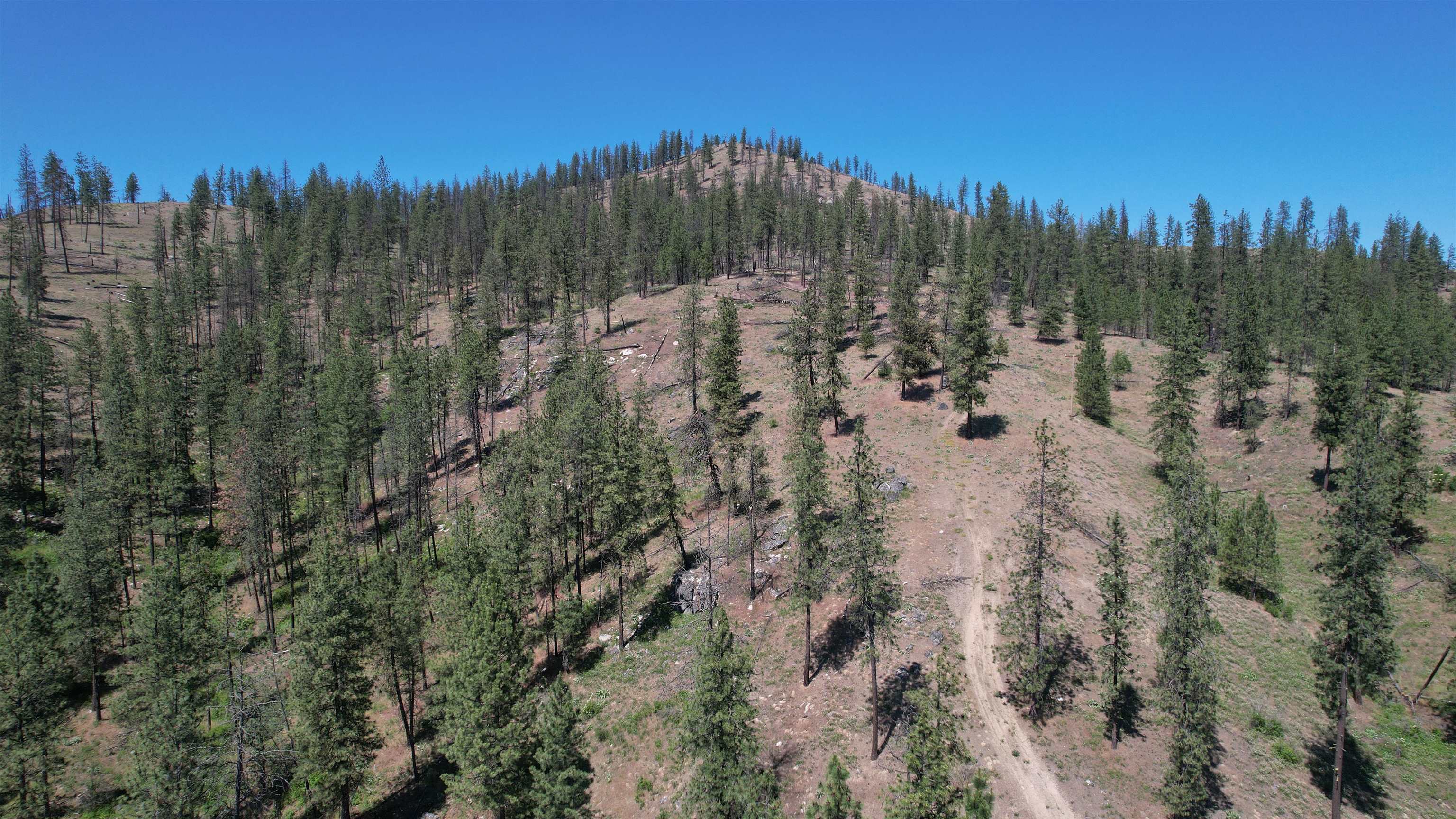 5550 Scotts Valley Road Deer Park, WA 99006 - Photo 20 of 34