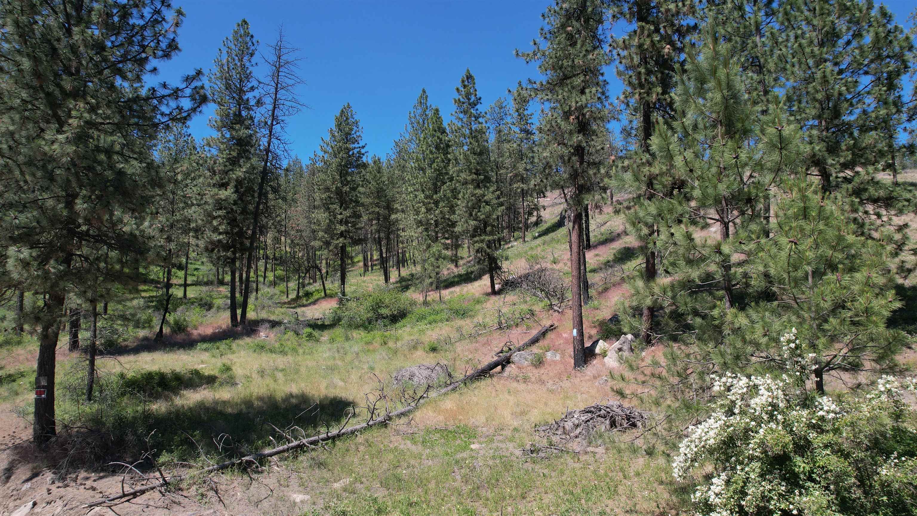 5550 Scotts Valley Road Deer Park, WA 99006 - Photo 2 of 34