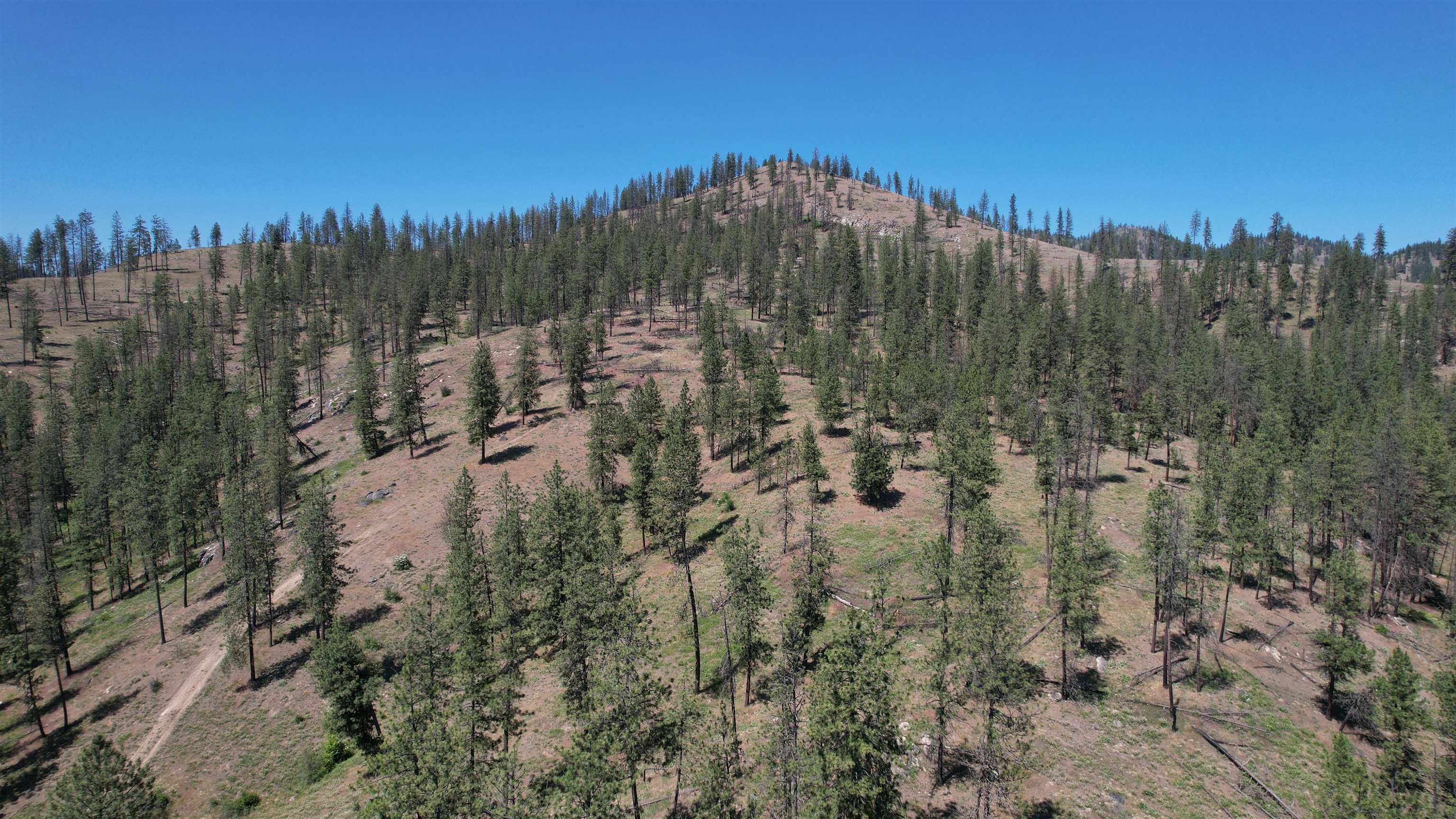 5550 Scotts Valley Road Deer Park, WA 99006 - Photo 22 of 34