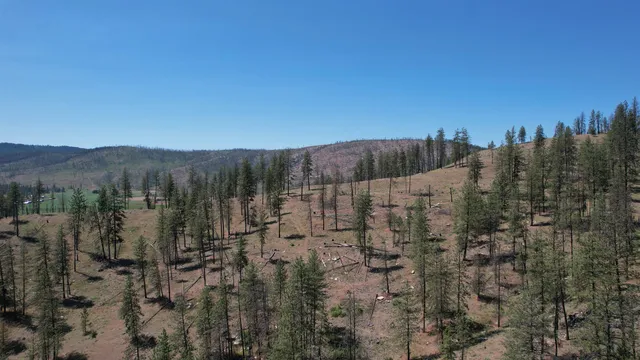 $152,000 | 5550 Scotts Valley Road, Deer Park, WA 99006