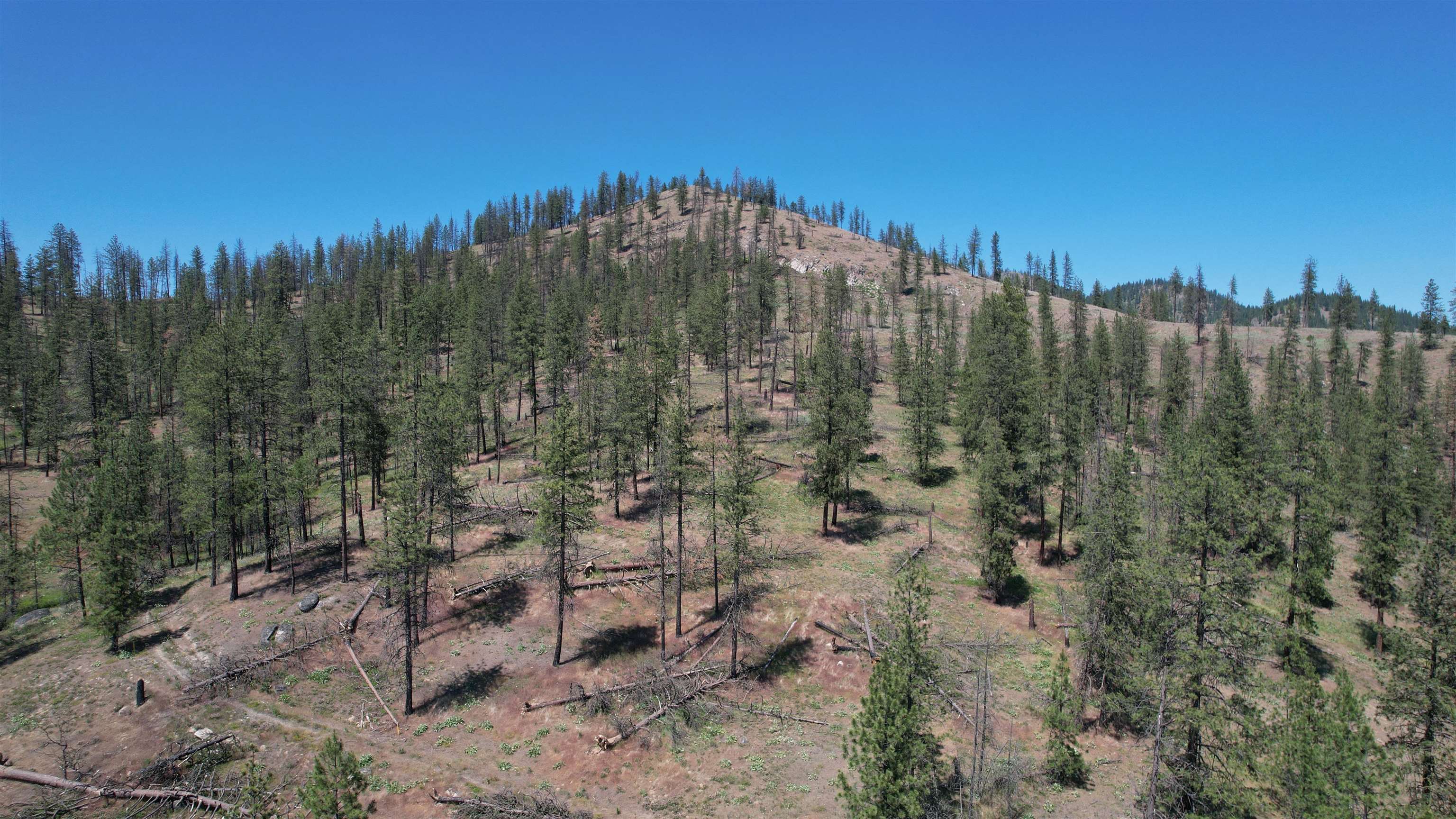 5550 Scotts Valley Road Deer Park, WA 99006 - Photo 25 of 34