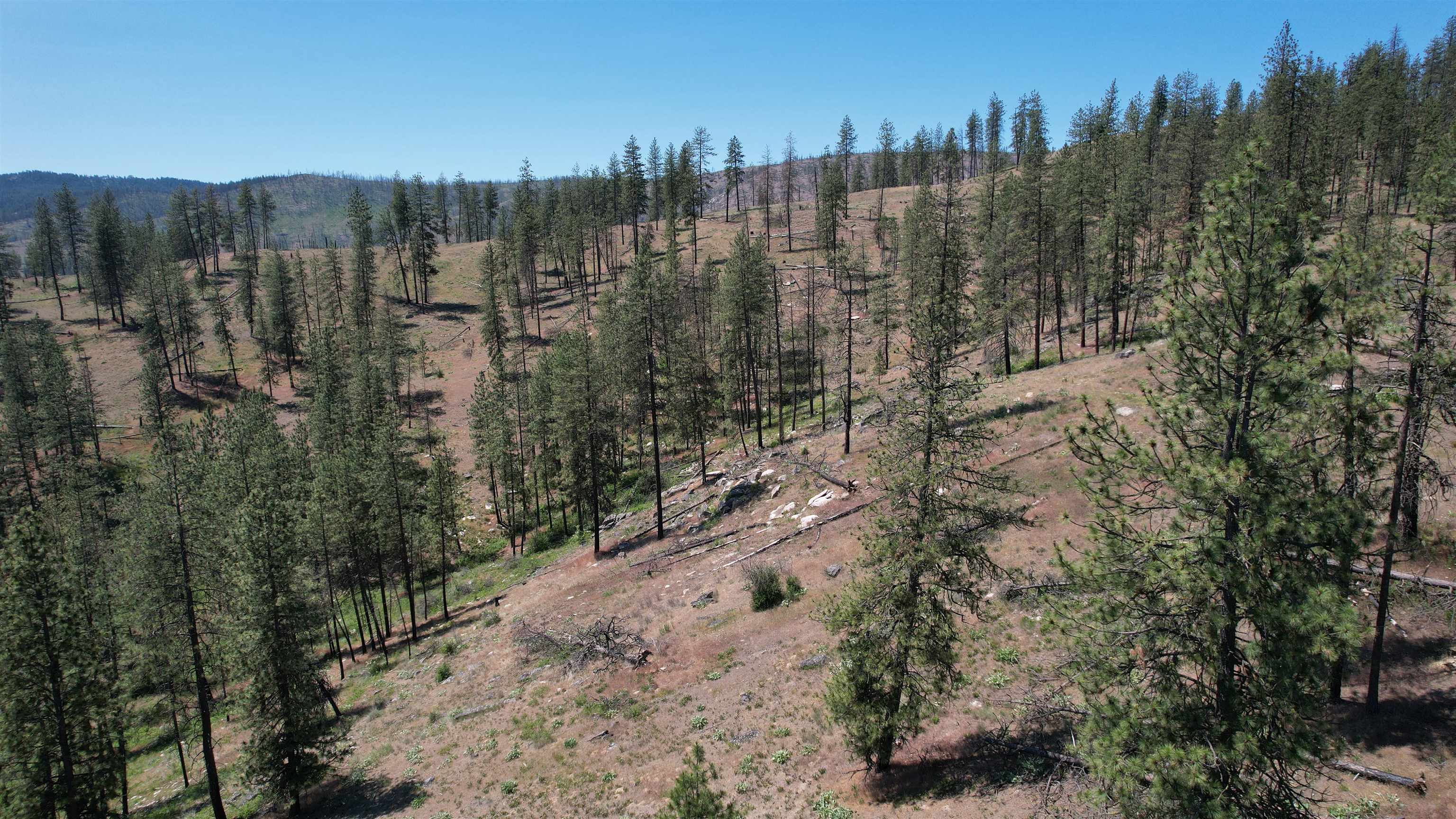 5550 Scotts Valley Road Deer Park, WA 99006 - Photo 26 of 34