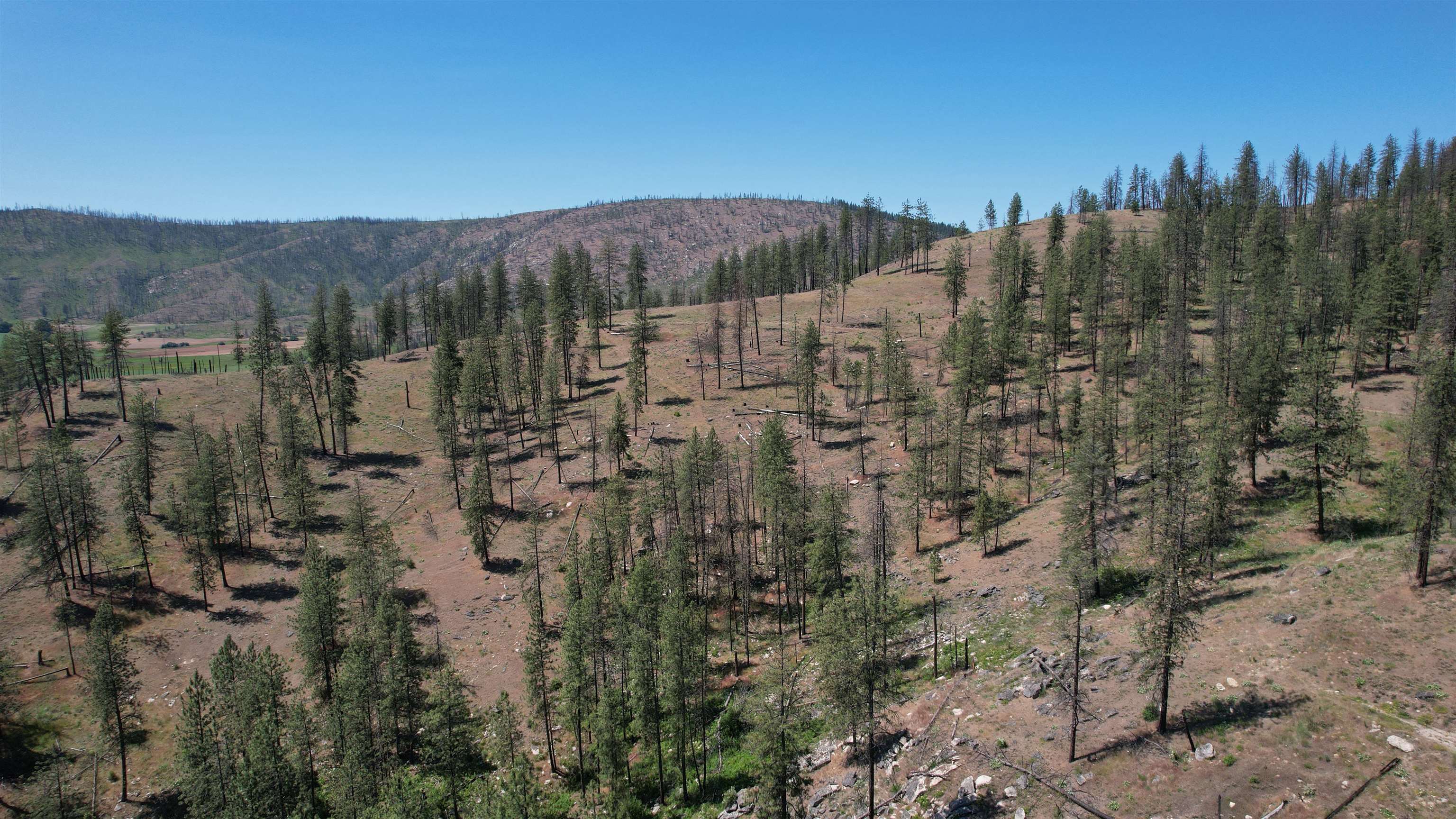 5550 Scotts Valley Road Deer Park, WA 99006 - Photo 28 of 34