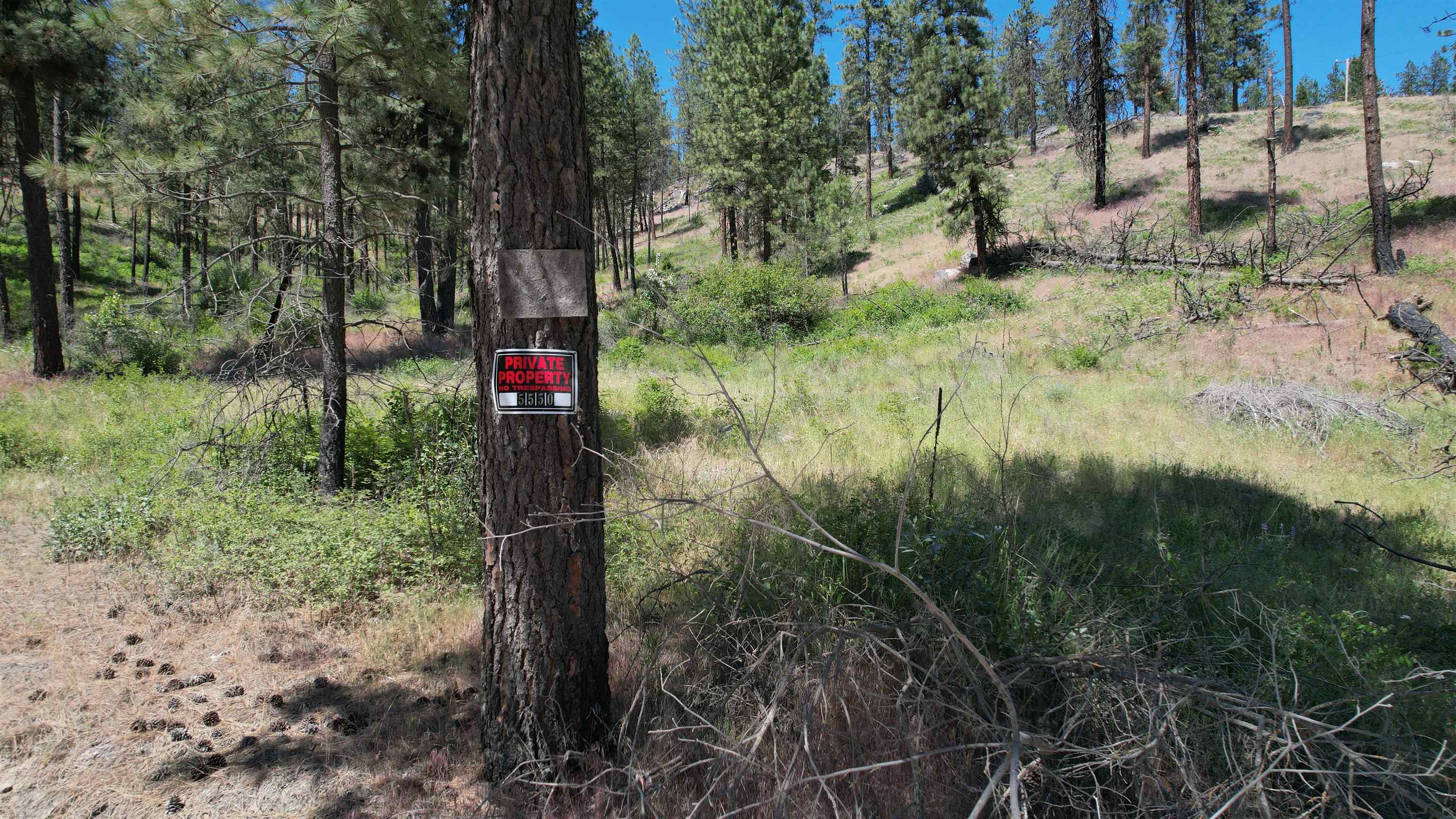 5550 Scotts Valley Road Deer Park, WA 99006 - Photo 3 of 34