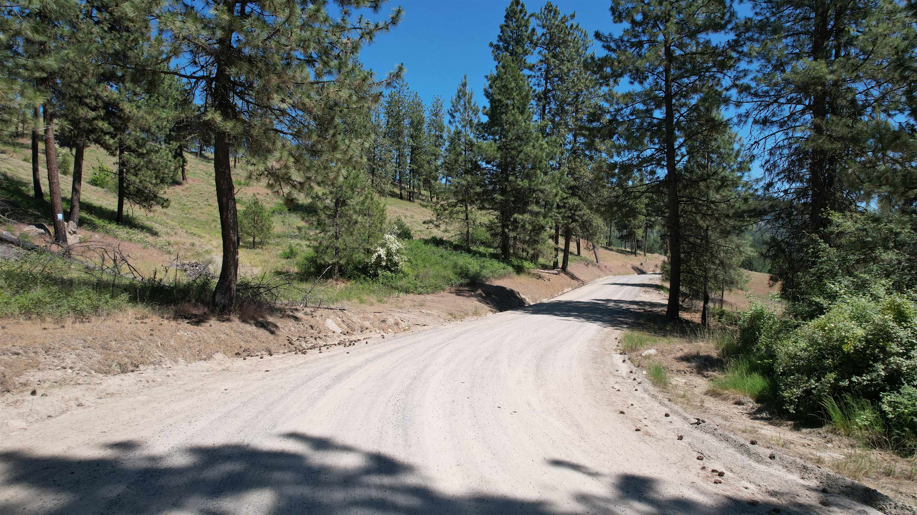 5550 Scotts Valley Road Deer Park, WA 99006 - Photo 4 of 34