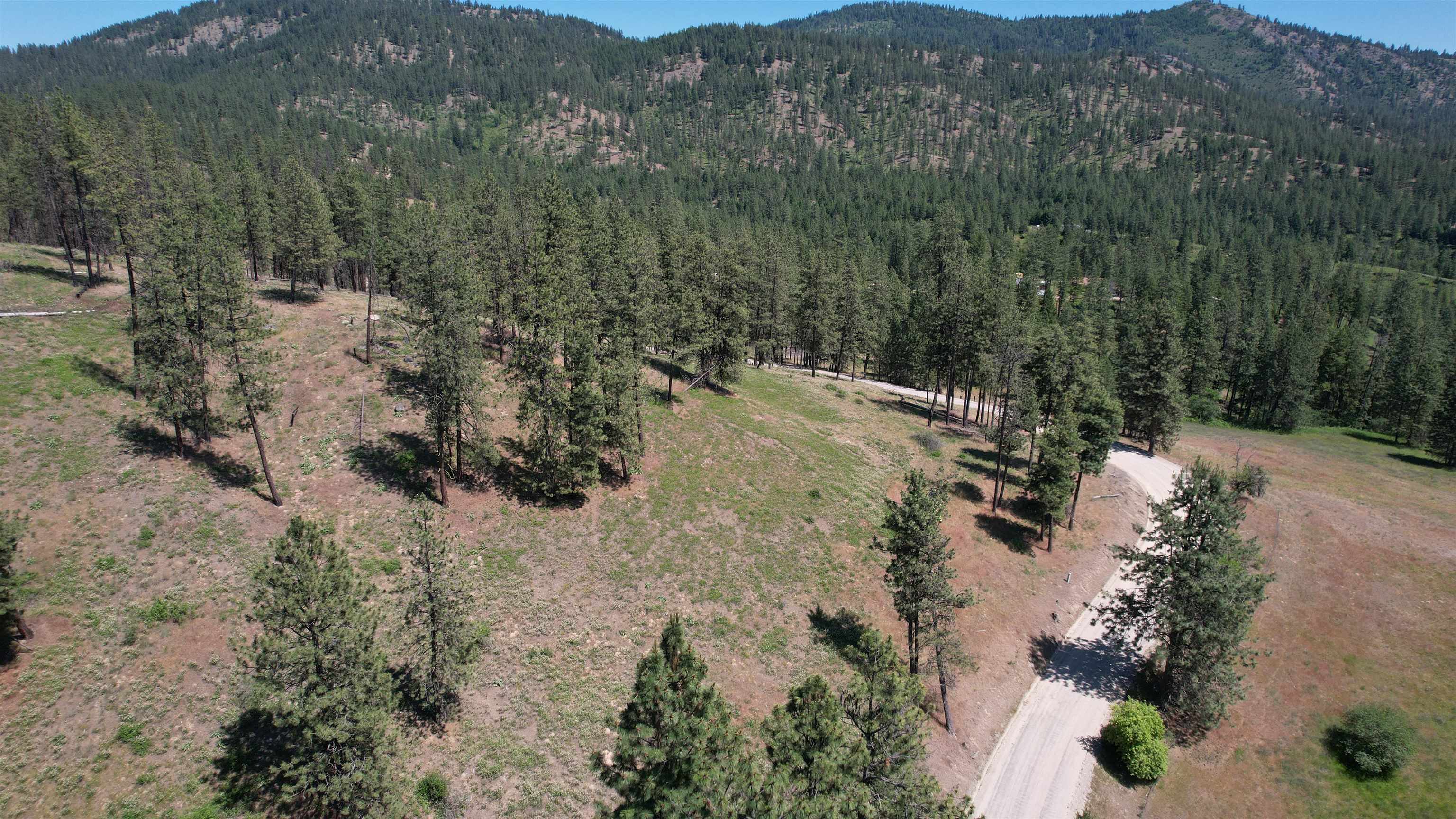 5550 Scotts Valley Road Deer Park, WA 99006 - Photo 6 of 34