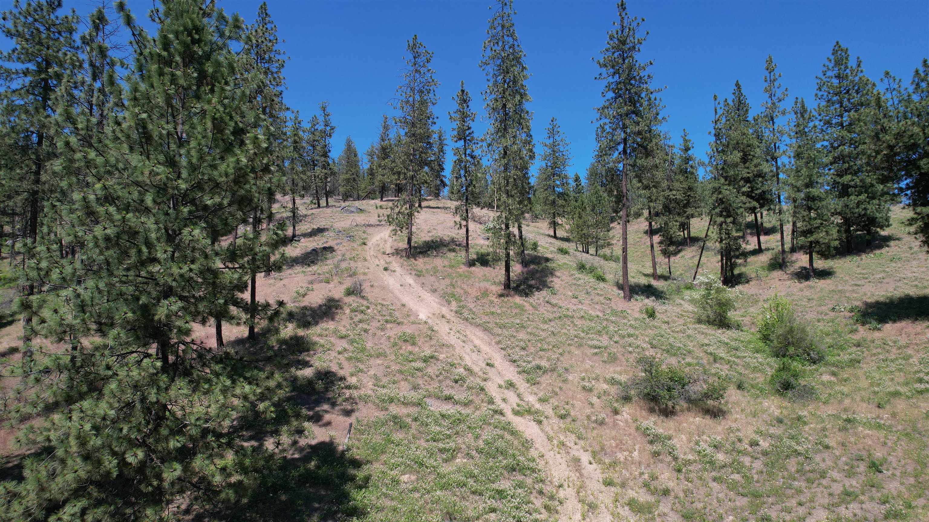 5550 Scotts Valley Road Deer Park, WA 99006 - Photo 9 of 34