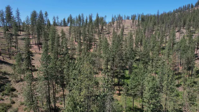 $152,000 | 5550 Scotts Valley Road, Deer Park, WA 99006