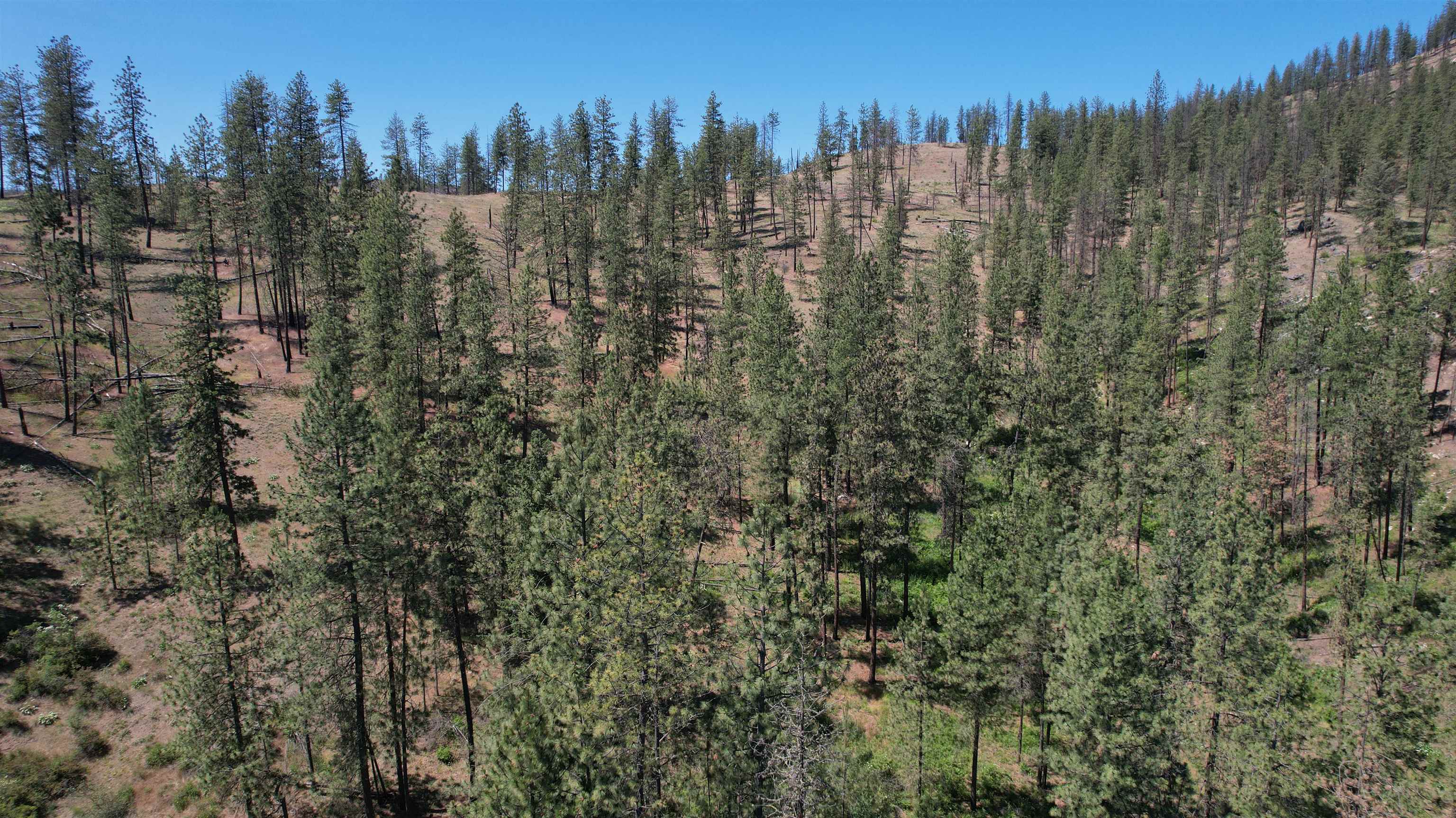 5550 Scotts Valley Road Deer Park, WA 99006 - Photo 10 of 34