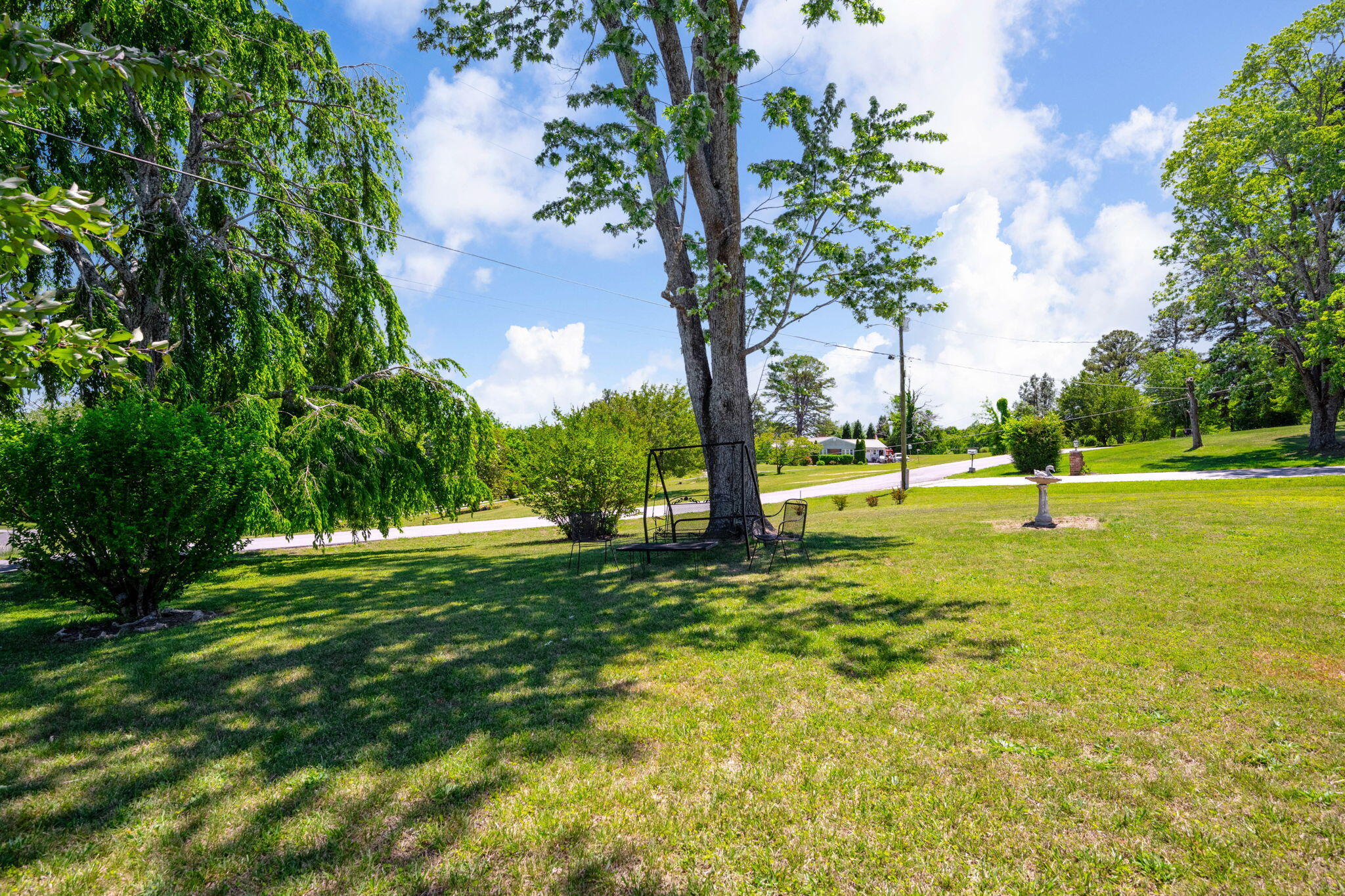 484 Kemmer Road Spring City, TN 37381 - Photo 33 of 34 30-web-or-mls-DSC_0192