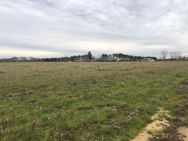 Land Bruner Road Dothan, AL 36301 - Photo 3 of 3
