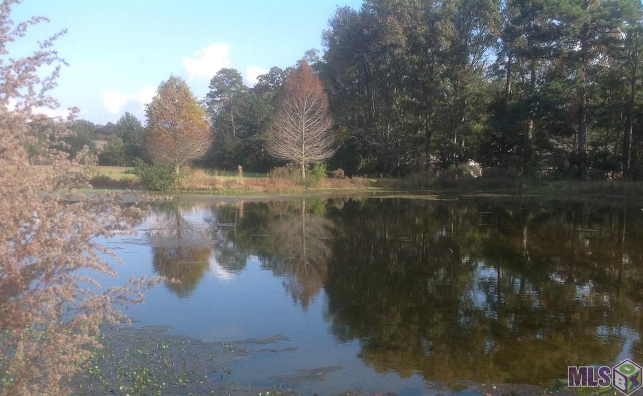 24060 Edwards Road Zachary, LA 70791 - Photo 25 of 25 Another view of pond