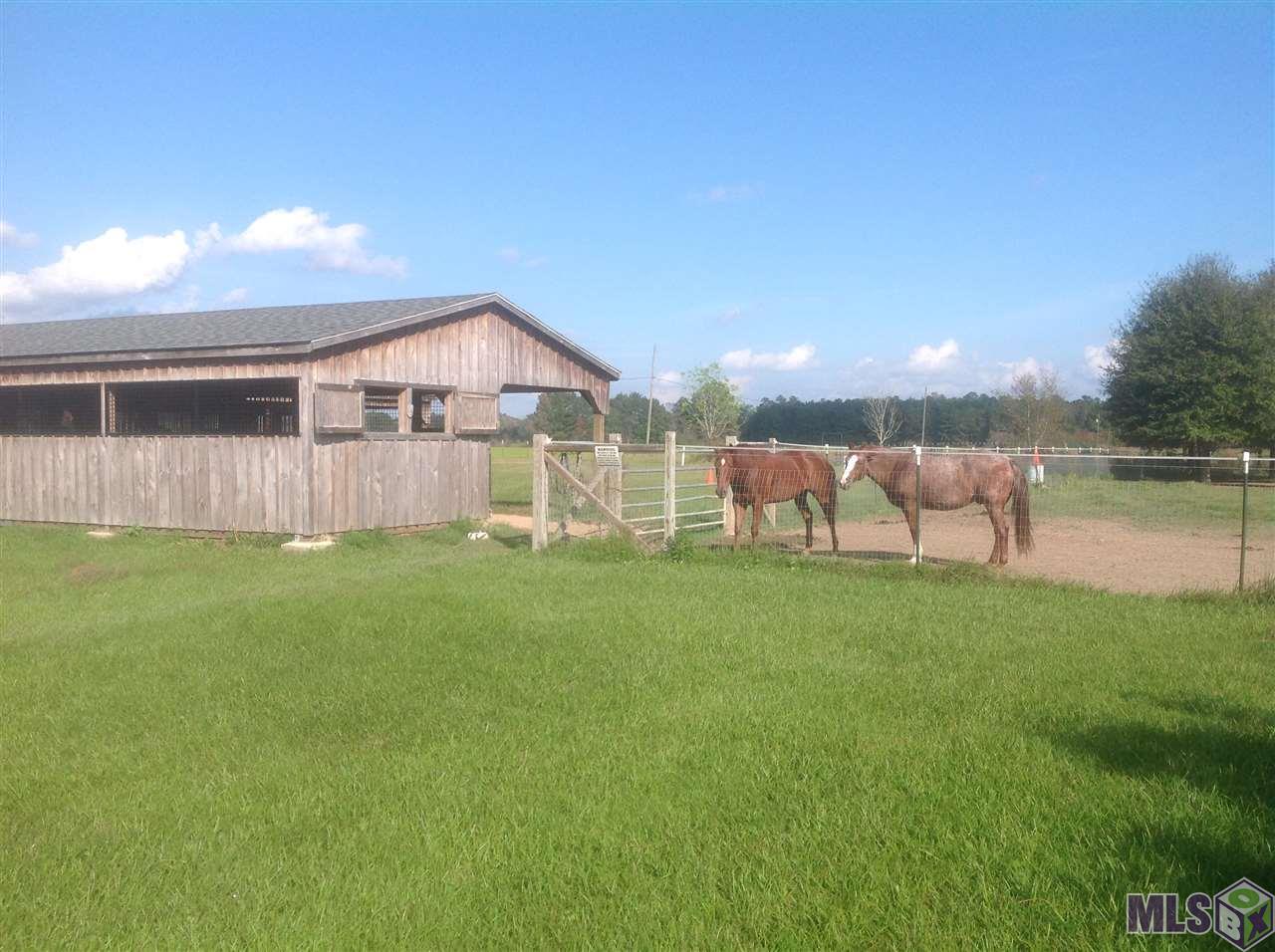 Stables and fenced area for horses