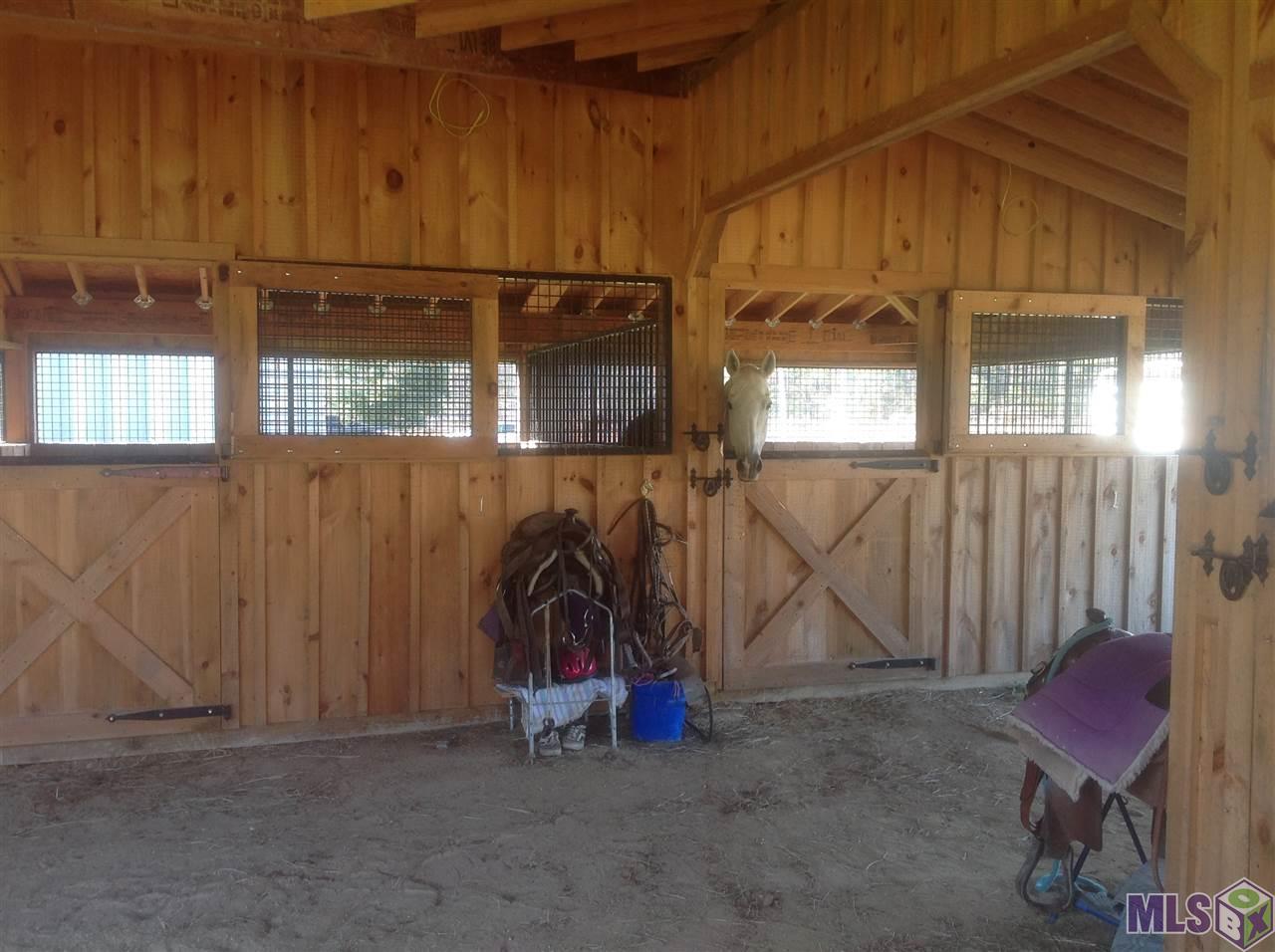 New stables