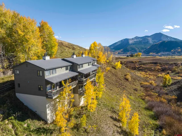 a view of a house with a yard and a large tree