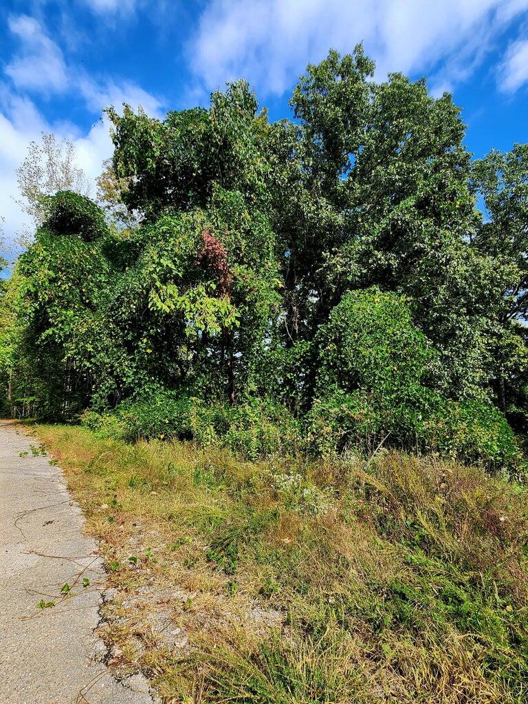 0 Browbend Drive, Unit 7 Guild, TN 37340 - Photo 11 of 14 BB10