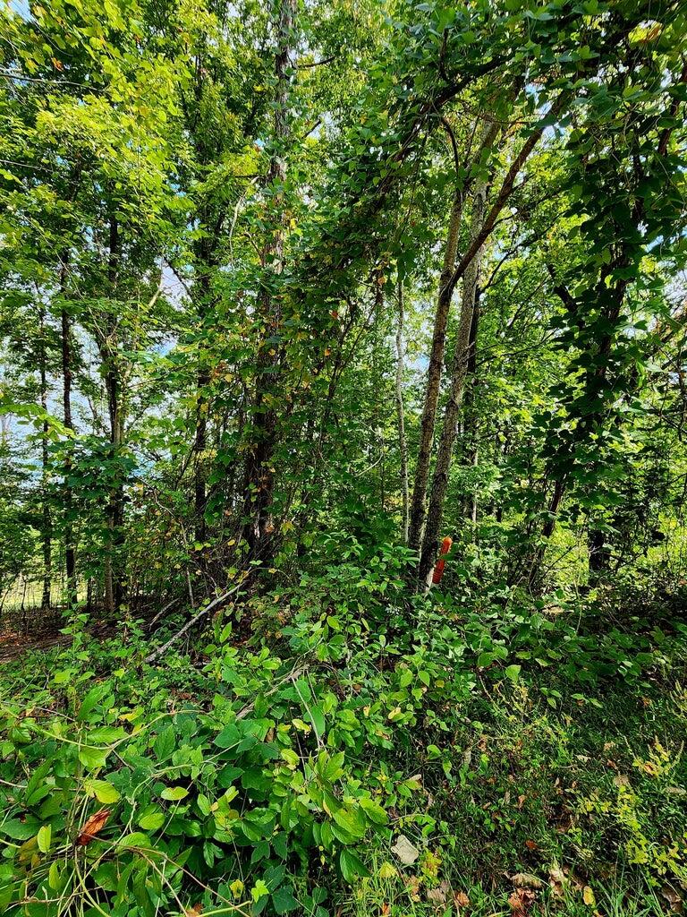 0 Browbend Drive, Unit 7 Guild, TN 37340 - Photo 13 of 14 BB12