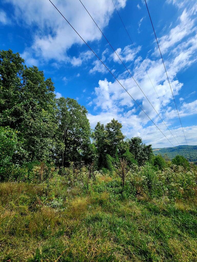 0 Browbend Drive, Unit 7 Guild, TN 37340 - Photo 9 of 14 BB8