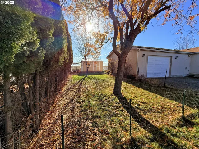 a view of a yard with large trees