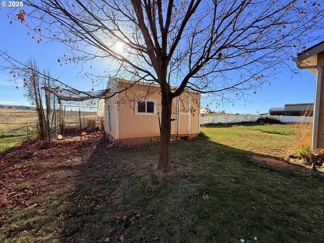 a view of a backyard with large trees