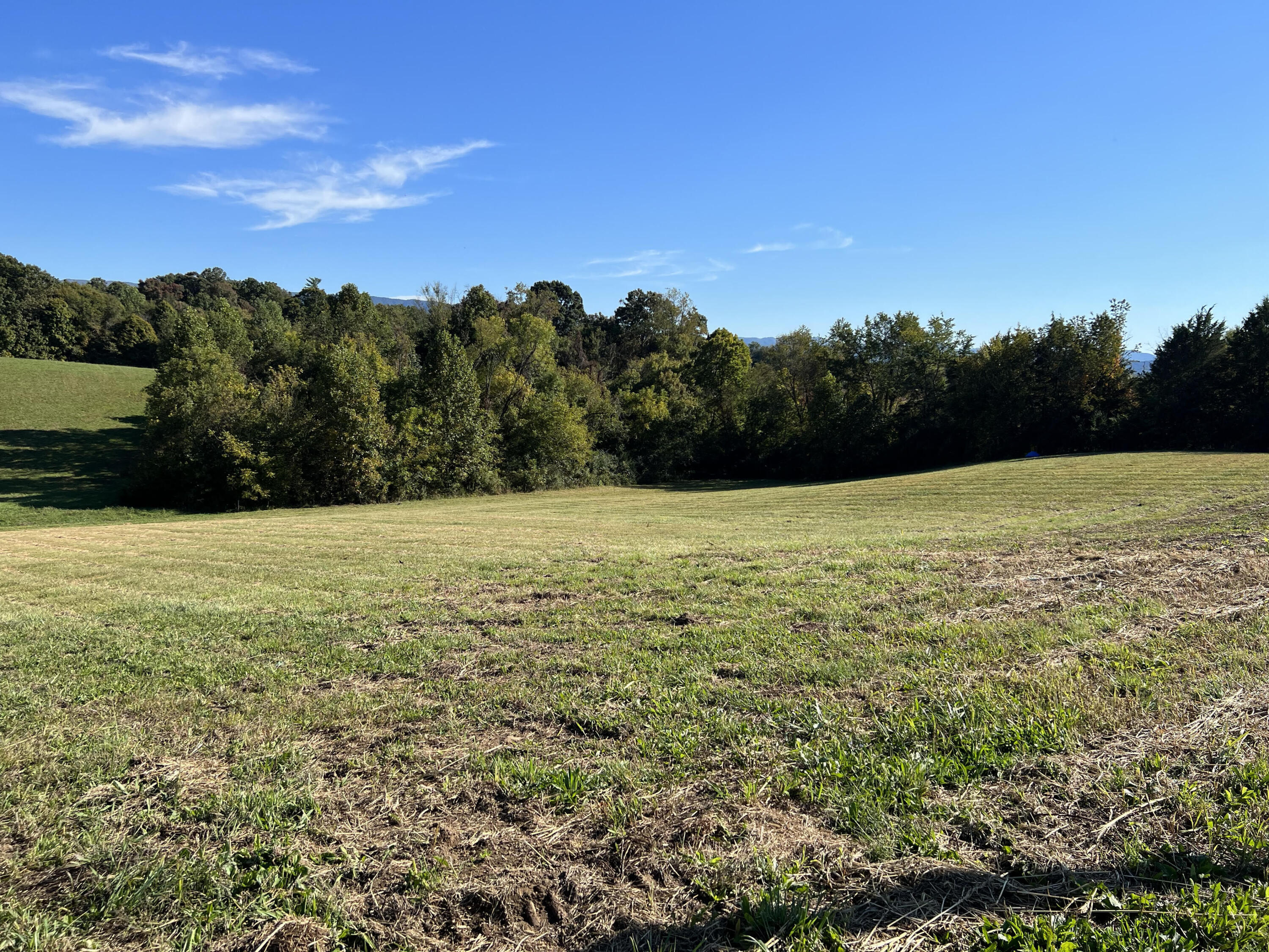 Lot 3 Sunnyside Road Greeneville, TN 37743 - Photo 1 of 18 1