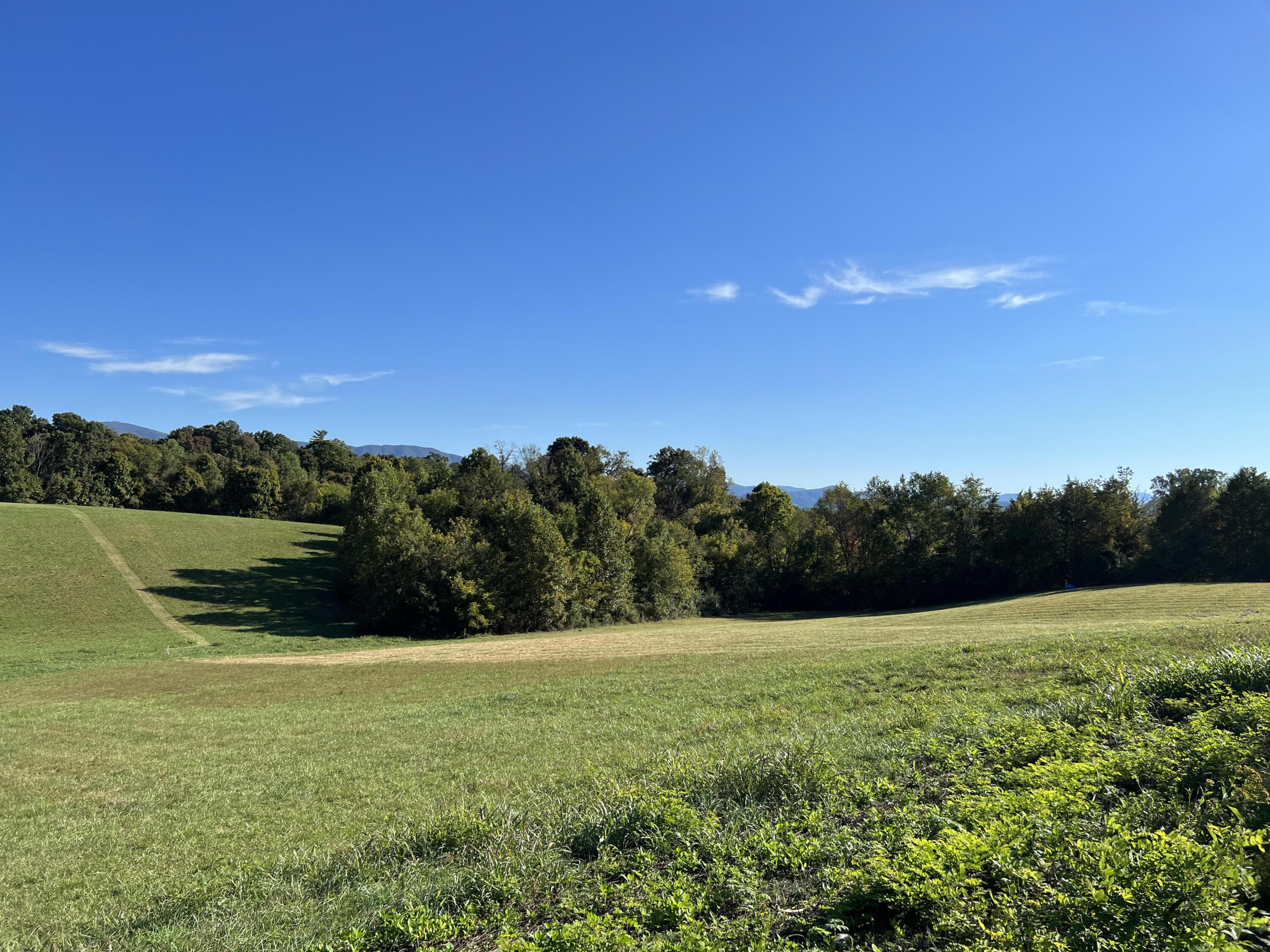 Lot 3 Sunnyside Road Greeneville, TN 37743 - Photo 16 of 18 unnamed (15)