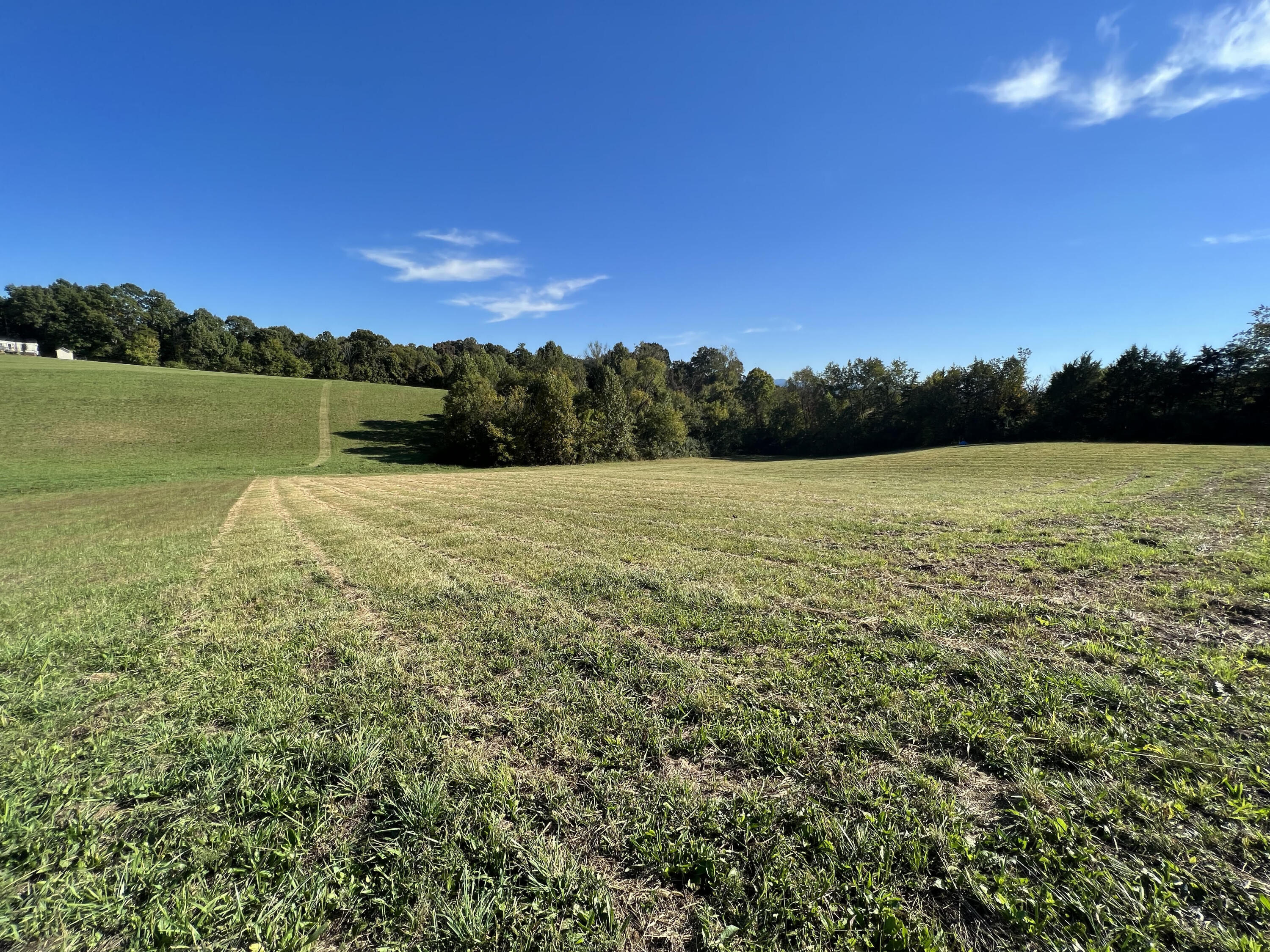 Lot 3 Sunnyside Road Greeneville, TN 37743 - Photo 3 of 18 unnamed (2)