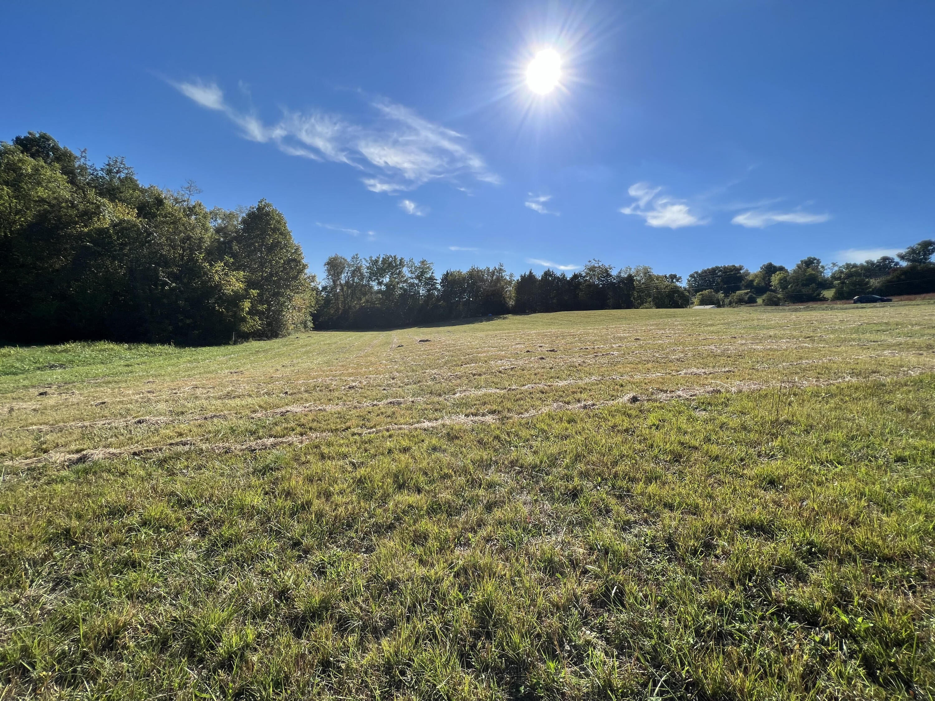 Lot 3 Sunnyside Road Greeneville, TN 37743 - Photo 4 of 18 unnamed (3)