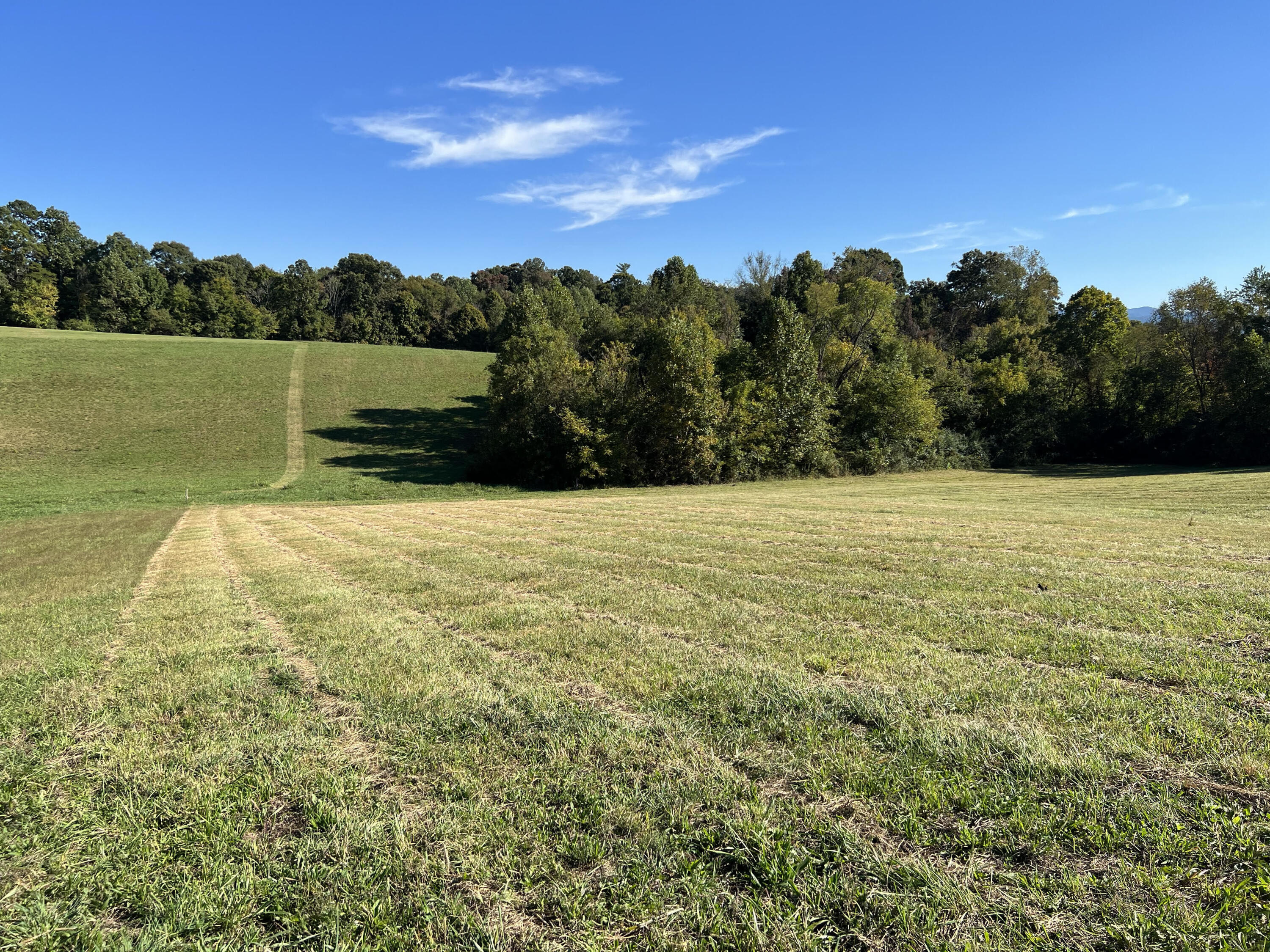 Lot 3 Sunnyside Road Greeneville, TN 37743 - Photo 5 of 18 unnamed (4)
