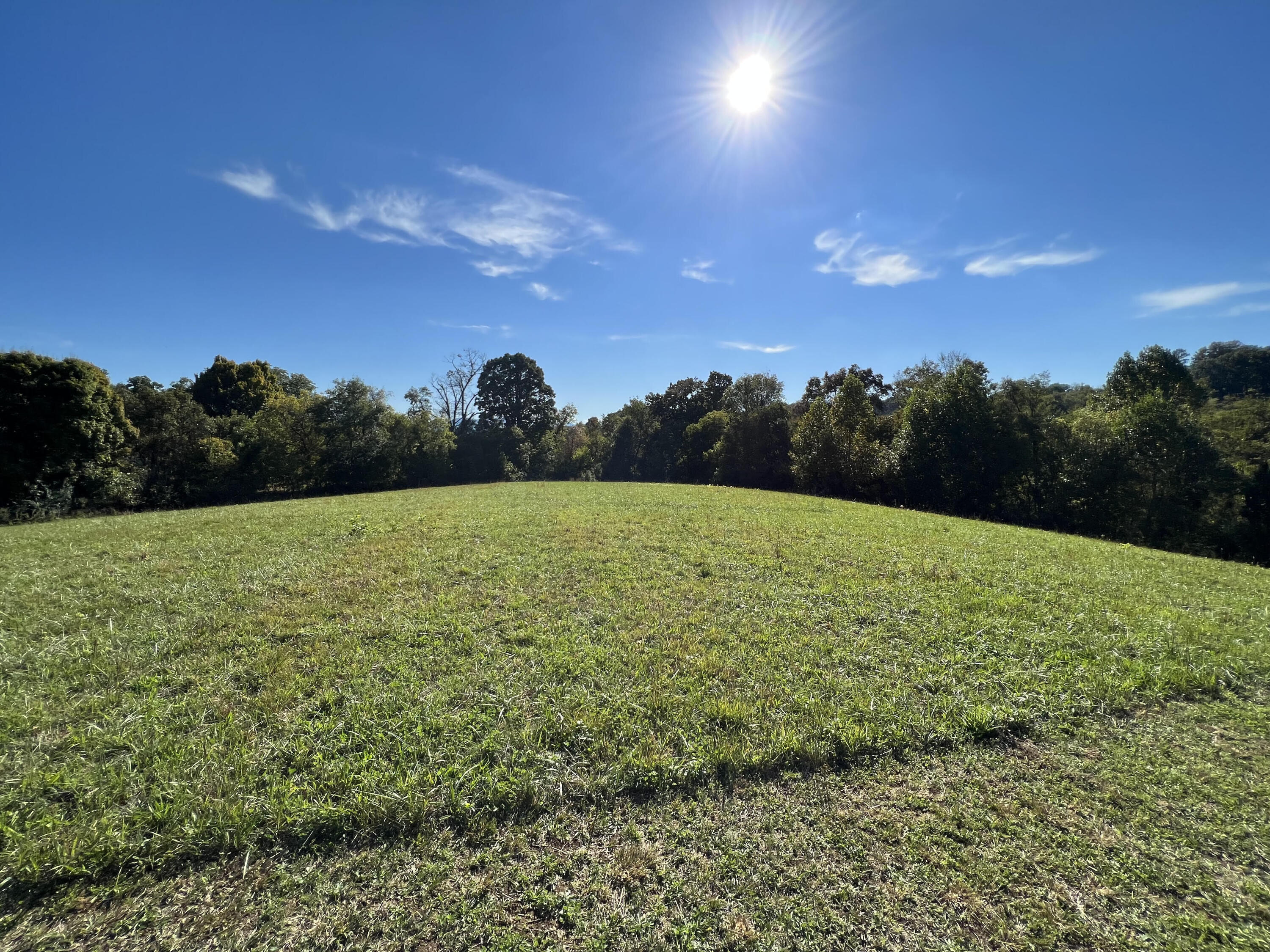 Lot 3 Sunnyside Road Greeneville, TN 37743 - Photo 6 of 18 unnamed (5)