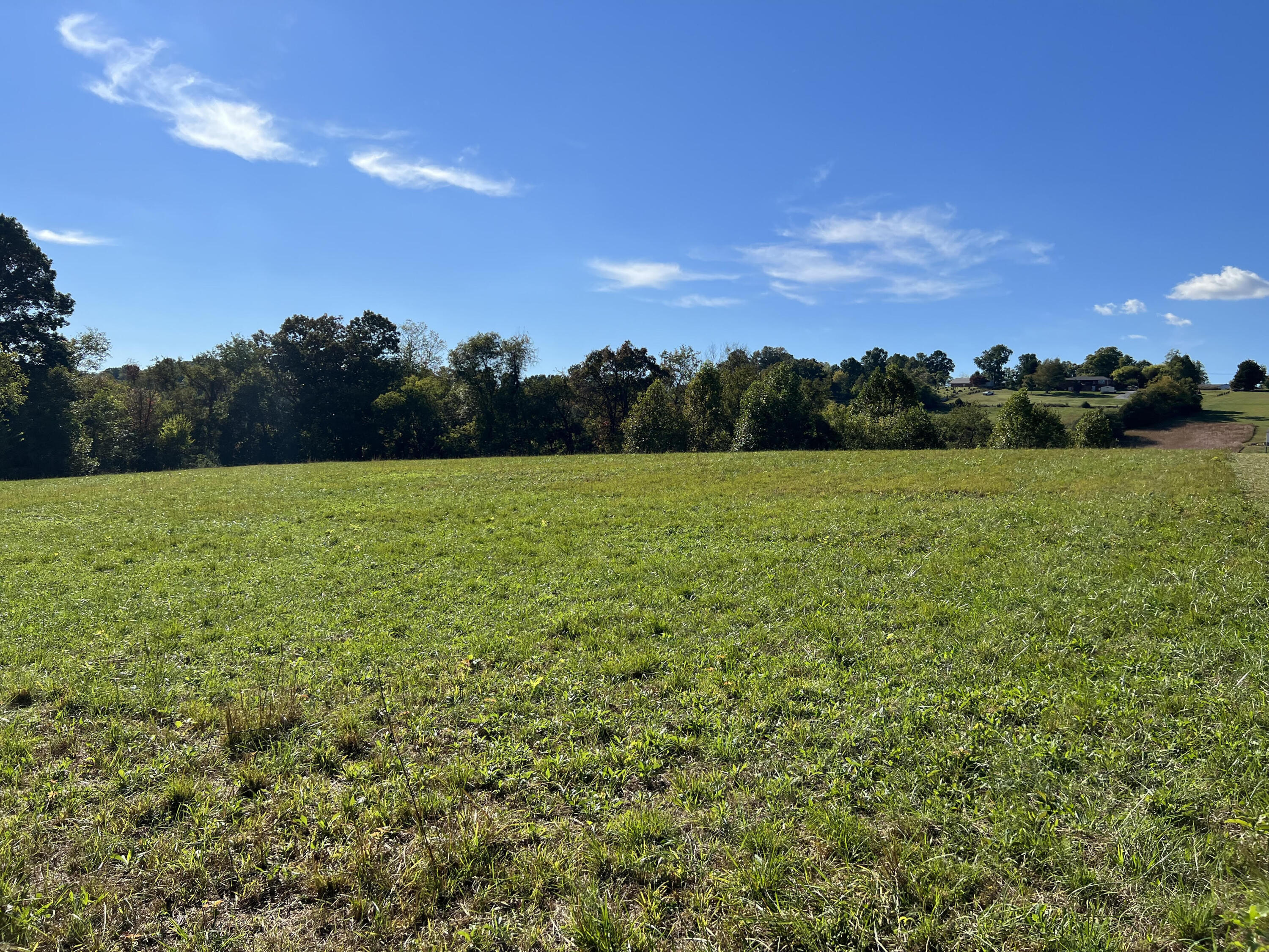 Lot 3 Sunnyside Road Greeneville, TN 37743 - Photo 10 of 18 unnamed (9)