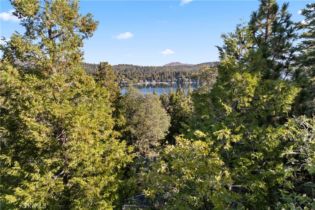 309 Castle Gate Road Lake Arrowhead, CA 92352 - Photo 31 of 58