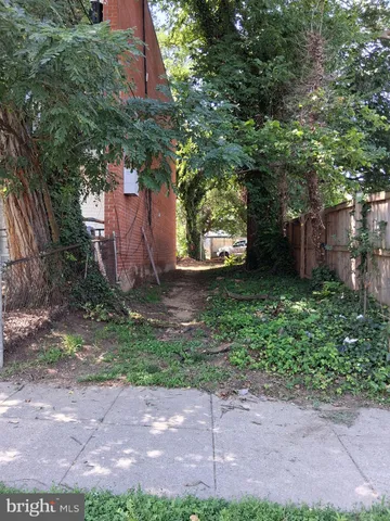 a view of a backyard