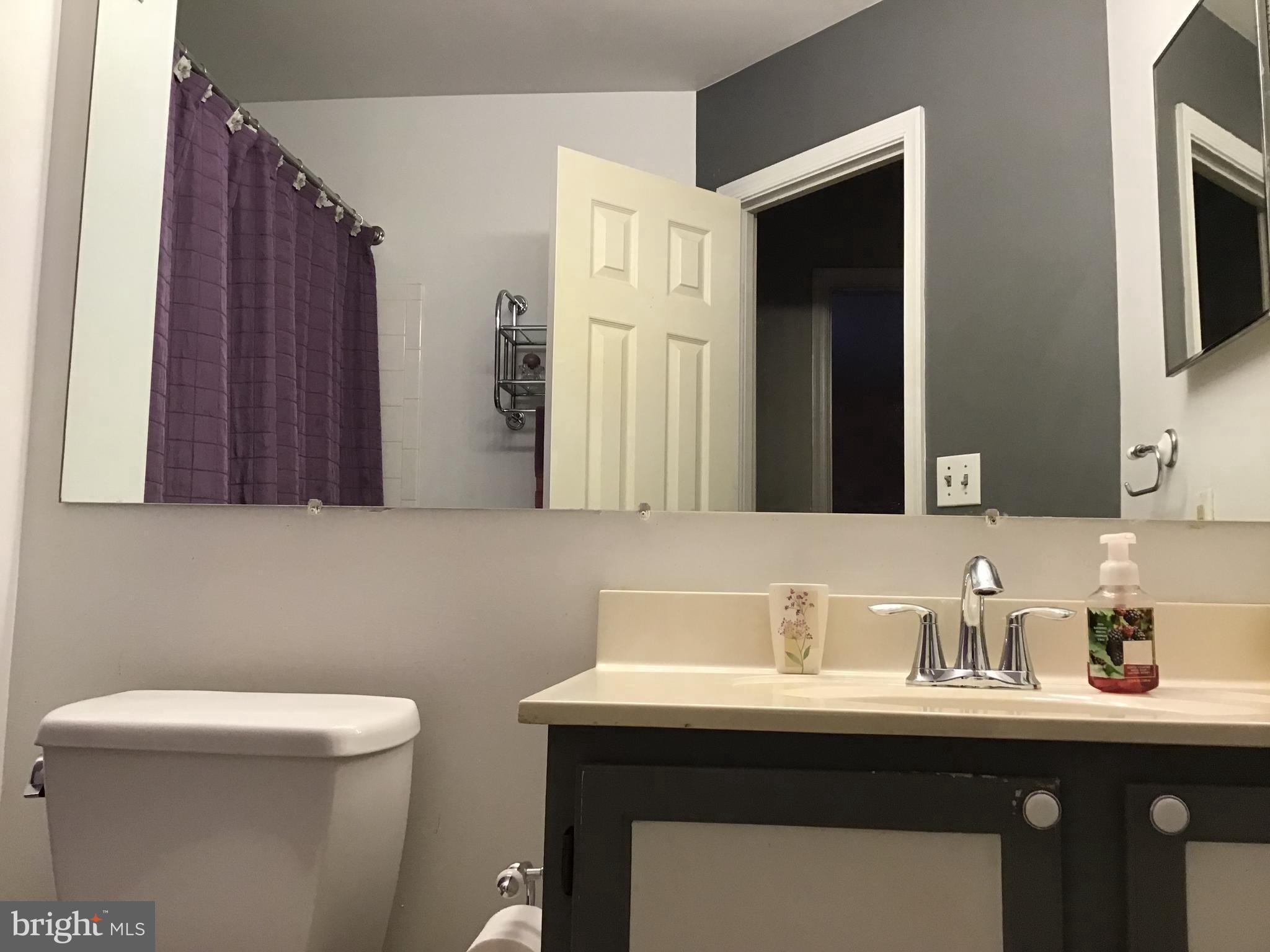 9301 Palmer Place, Unit 40 Laurel, MD 20708 - Photo 11 of 12 Modern bathroom with stylish accents.