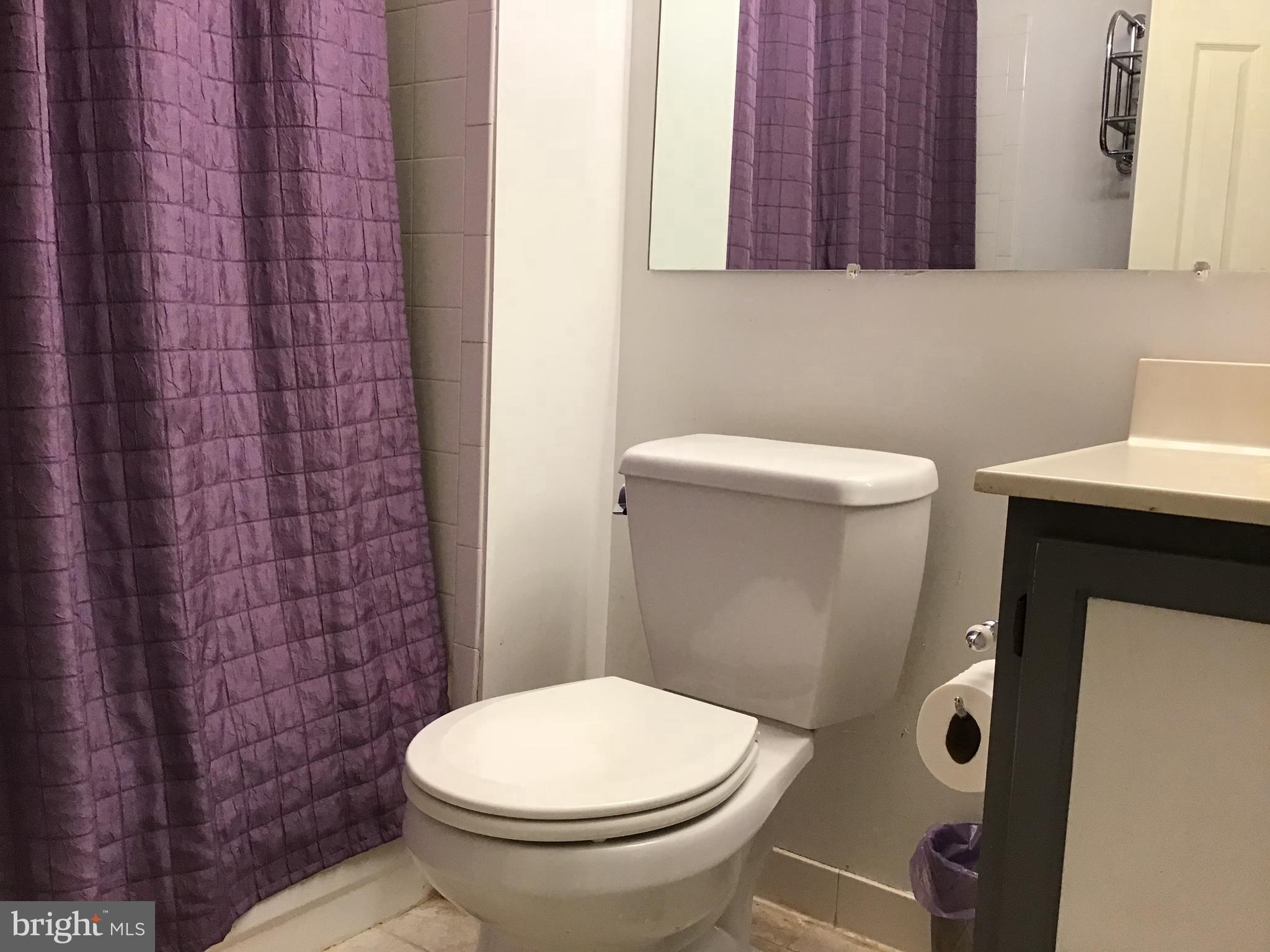 9301 Palmer Place, Unit 40 Laurel, MD 20708 - Photo 10 of 12 Charming bathroom with vibrant purple accents.