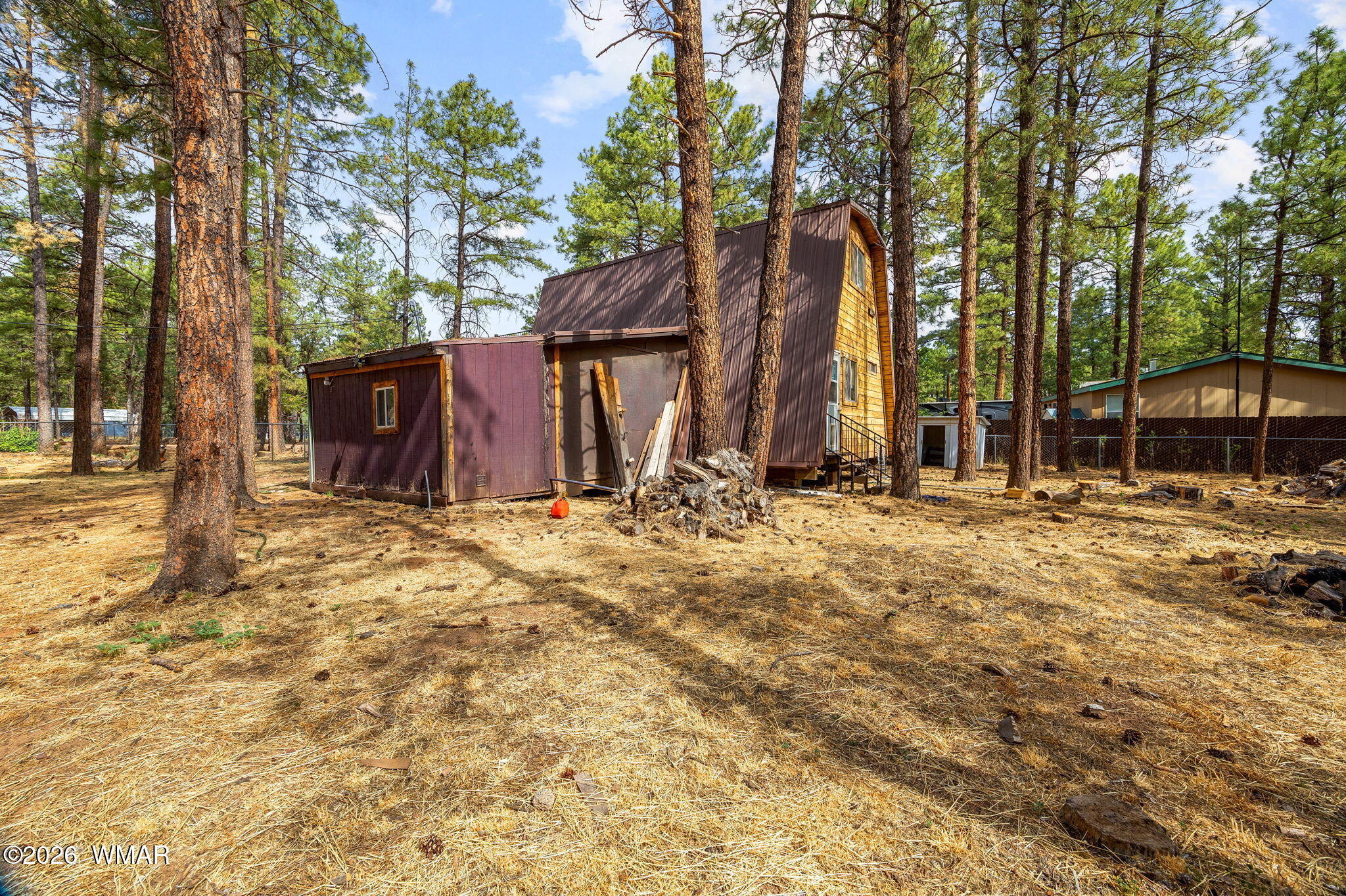 2861 Angel Trail Overgaard, AZ 85933 - Photo 15 of 28