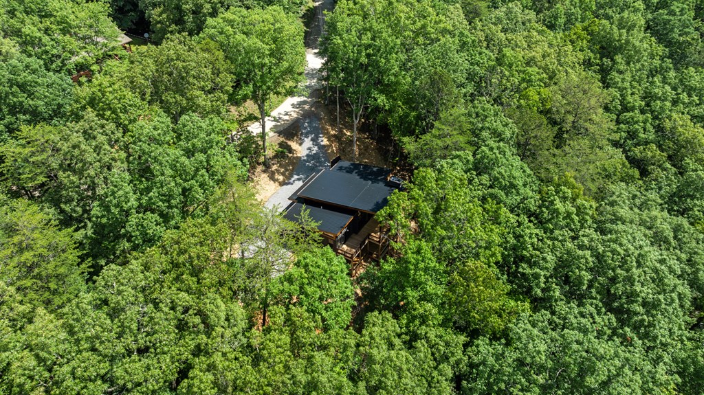 307 Mangum's Trail Blue Ridge, GA 30513 - Photo 10 of 36 a view of a house with a tree