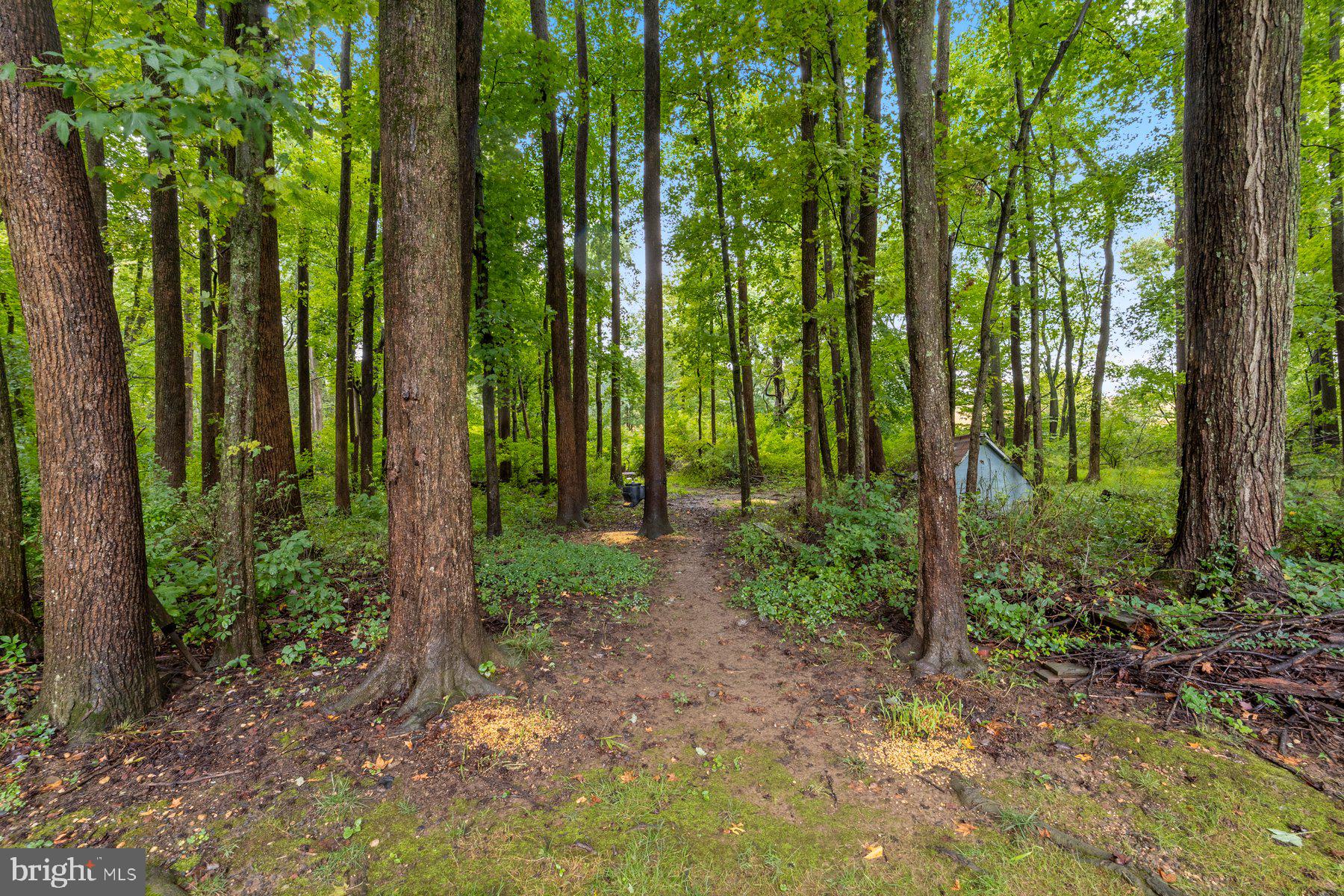 522 Paradise Road Aberdeen, MD 21001 - Photo 36 of 43 Gallery Image 36