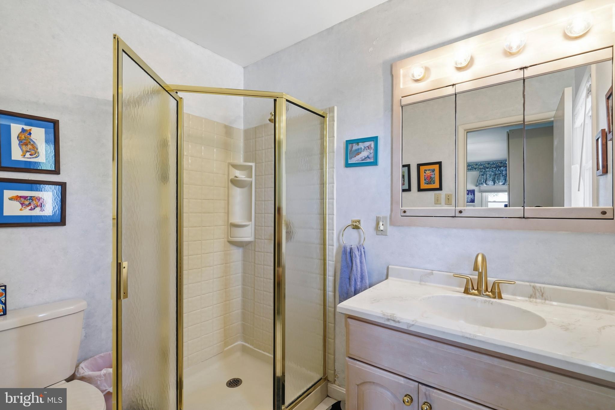2303 Farringdon Road Baltimore, MD 21209 - Photo 20 of 36 Primary Ensuite Bathroom