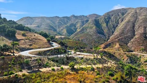 a view of a forest with mountains in the background