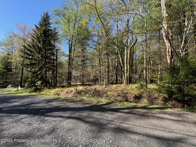 a view of a yard with large trees