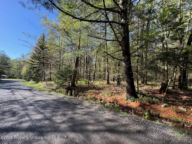 a view of a tree in the middle of a yard