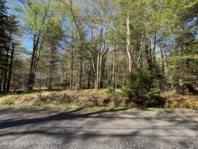 a view of a yard with street