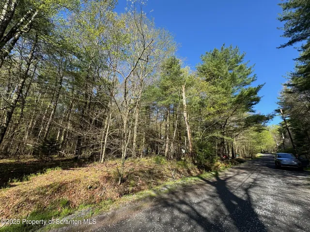 a view of backyard space