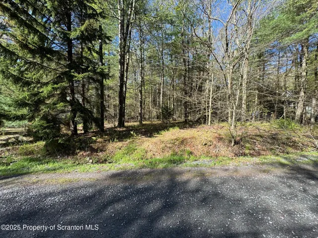 a view of covered with snow
