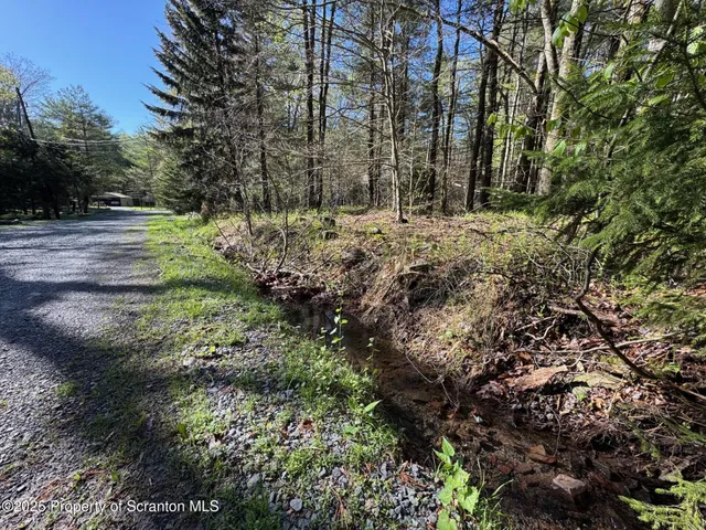 a view of outdoor space with trees all around