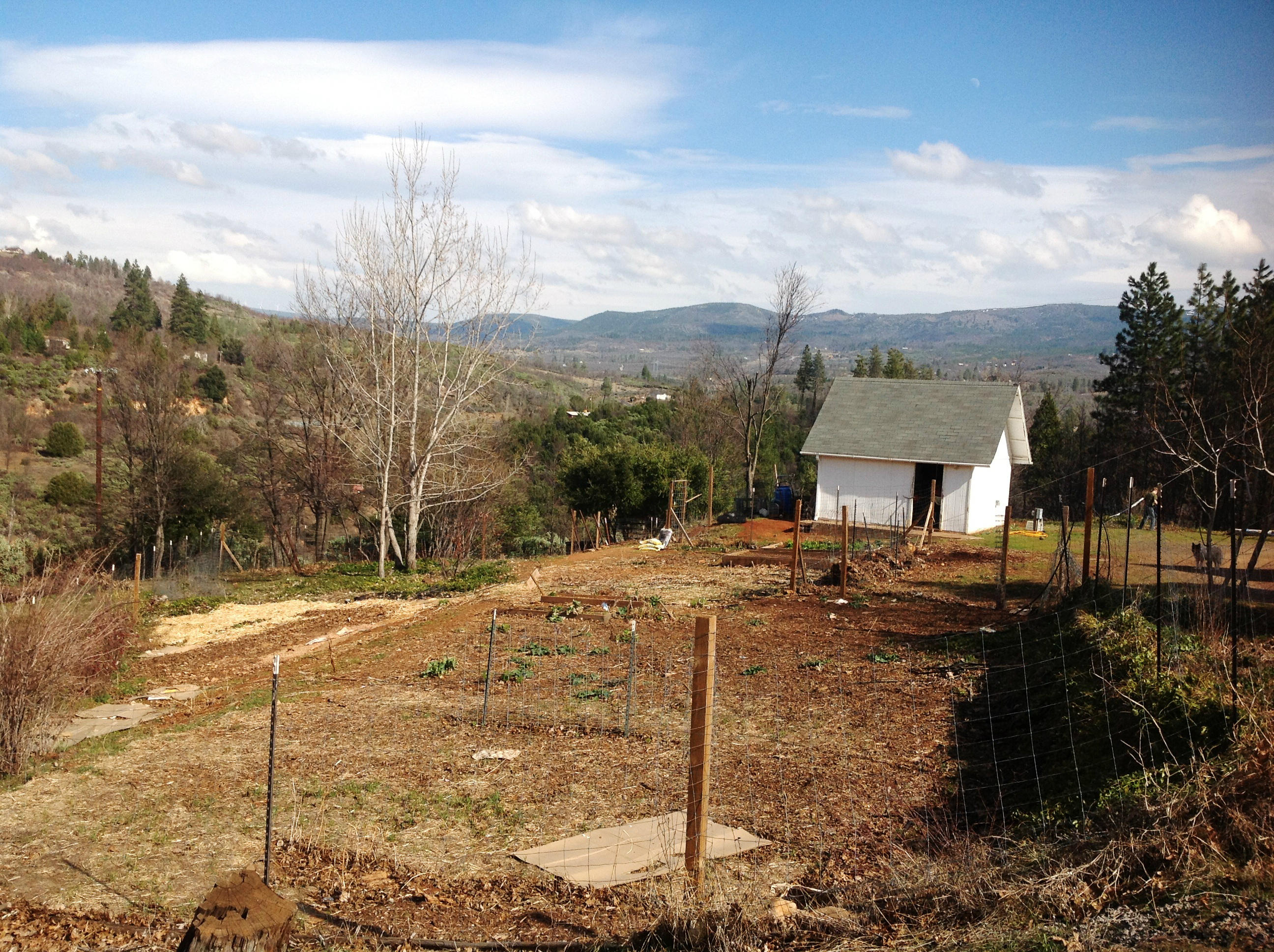 29204 Park Road Bella Vista, CA 96008 - Photo 15 of 41